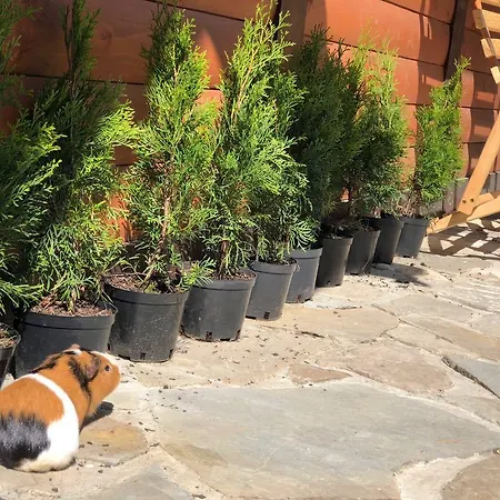 Nad Prutom Casa de hóspedes Tatariv