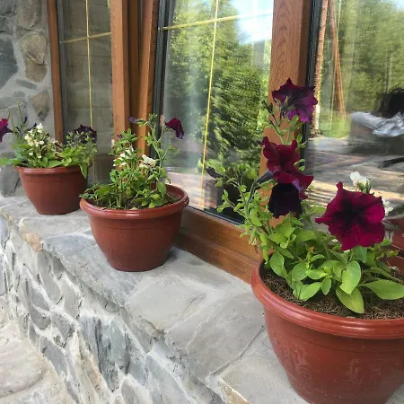 Nad Prutom Gasthuis Tatariv